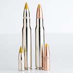 browning_bxr_ammo_f.jpg