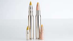 browning_bxr_ammo_f.jpg
