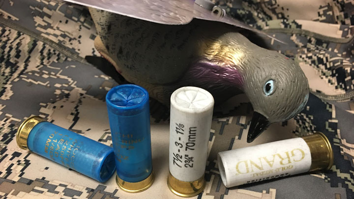 Four shotshells, two white and two blue, sitting next to a dove decoy