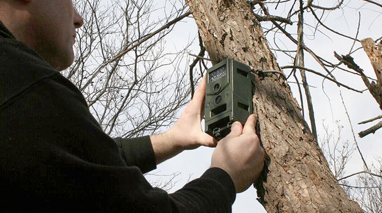 Value-Priced Viewing: Trail Cameras for Under $80 | An Official Journal Of The NRA