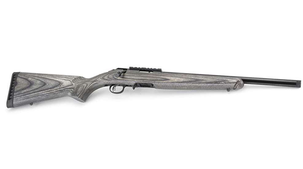 ruger_american_rimfire_target.jpg