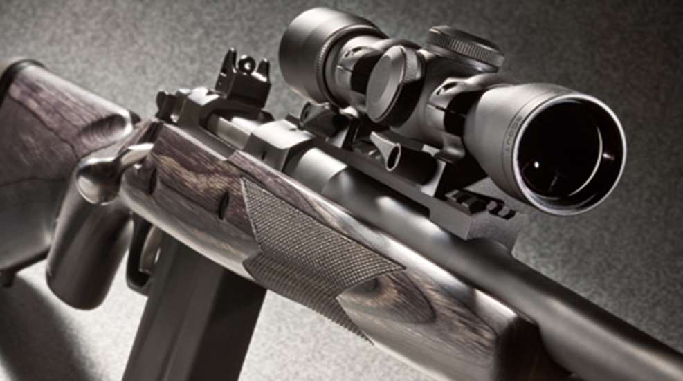 2011620132952-ruger_f.jpg