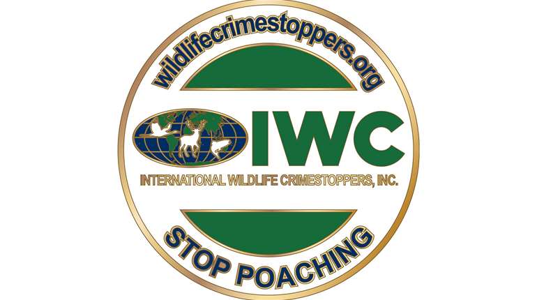 IWC And Guidefitter