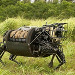 AI, Robots and the Future of Conservation | An Official Journal Of The NRA