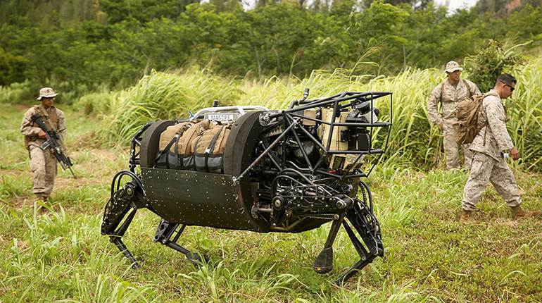 AI, Robots and the Future of Conservation | An Official Journal Of The NRA