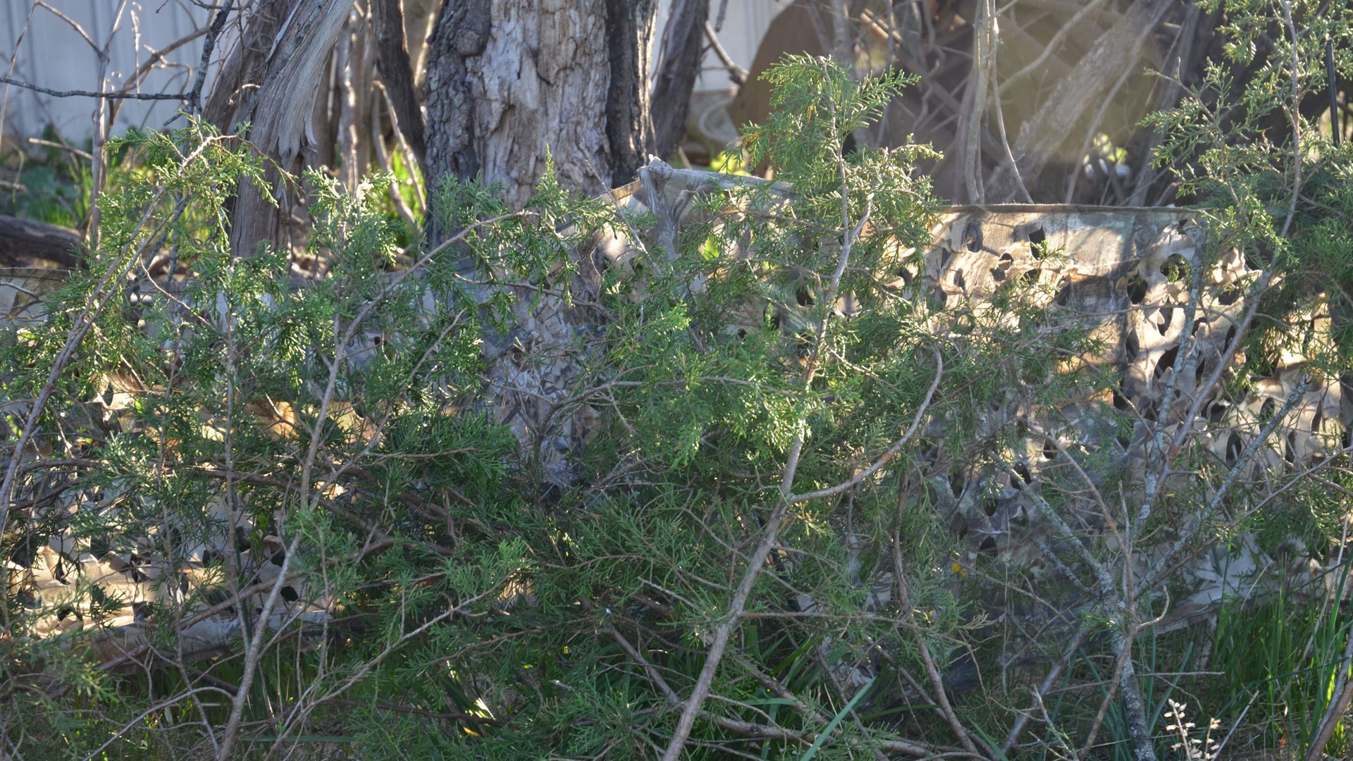 Portable ground blind Brushed in