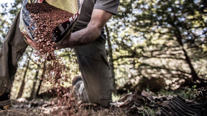 Man bouring legit on a freshly raked patch of ground in the woods