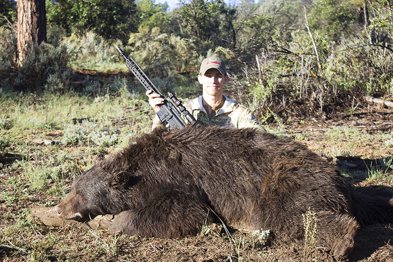 Bear Chase Success