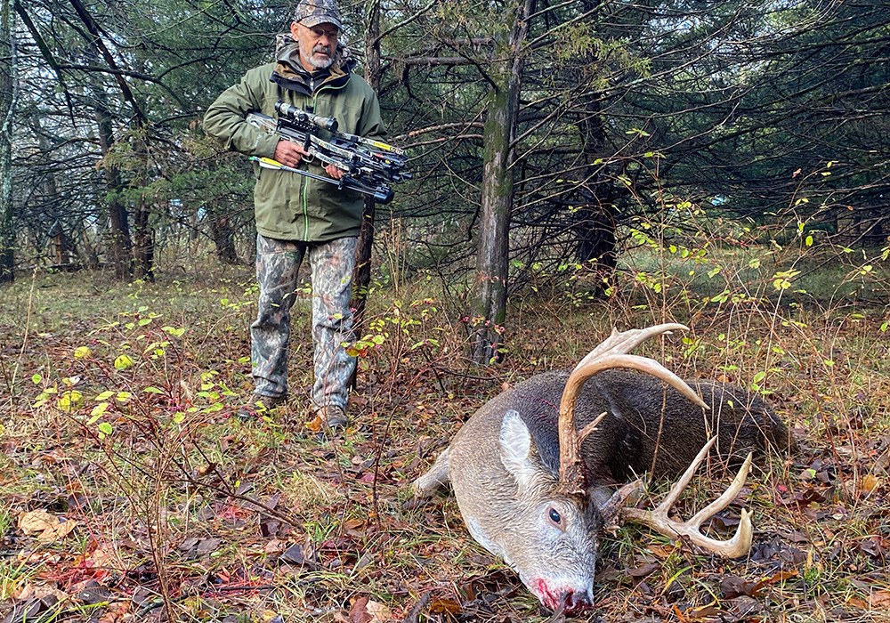 Male hunter carrying crossbow walking up to whitetail buck on forest ground.