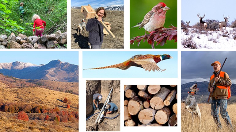 All You Survey … | An Official Journal Of The NRA