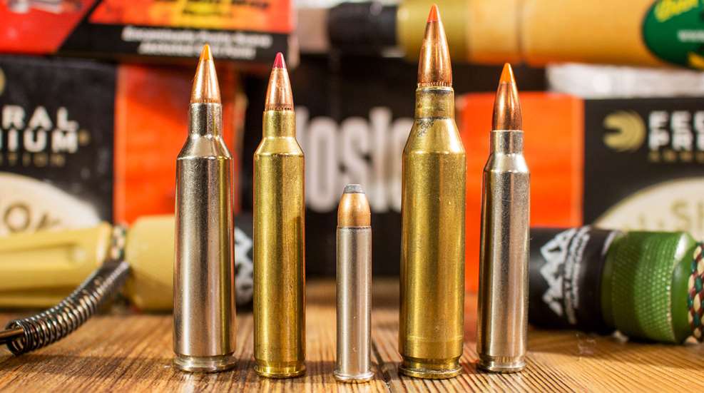 Top 5 Predator Cartriges Lead