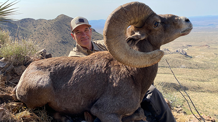 Hunter with desert bighorn ram