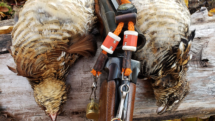 Ruffed Grouse Next to Shotgun