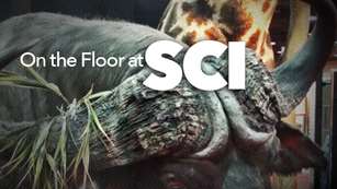 sci_ah2015_fs.jpg (13)