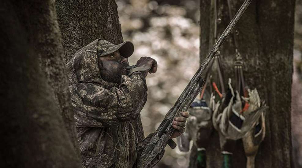 realtreetimber_lead.jpg