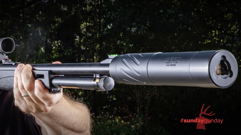 #SundayGunday: Banish 46-V2 | An Official Journal Of The NRA