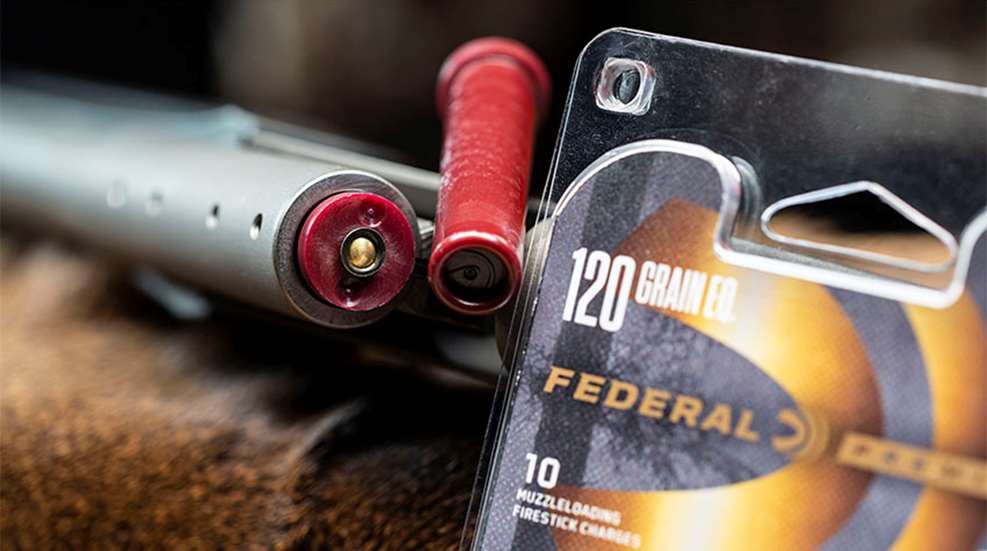 federalfirestick_lead.jpg