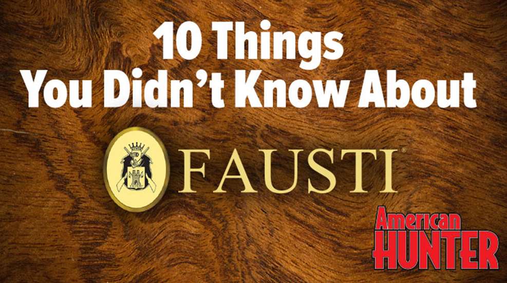 10things_fausti.jpg