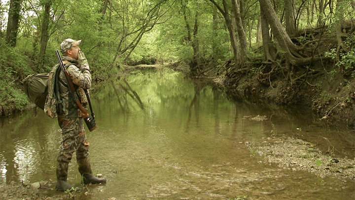 Turkey Hunter Calling in Creek Bottom