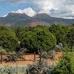 Bears Ears National Monument Chestnutlede