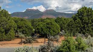 Bears Ears National Monument Chestnutlede