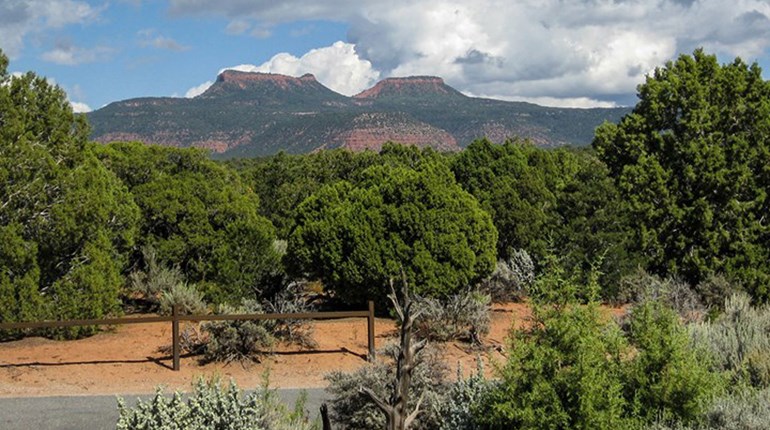NRA Protests Shooting Ban at Bears Ears National Monument | An Official Journal Of The NRA