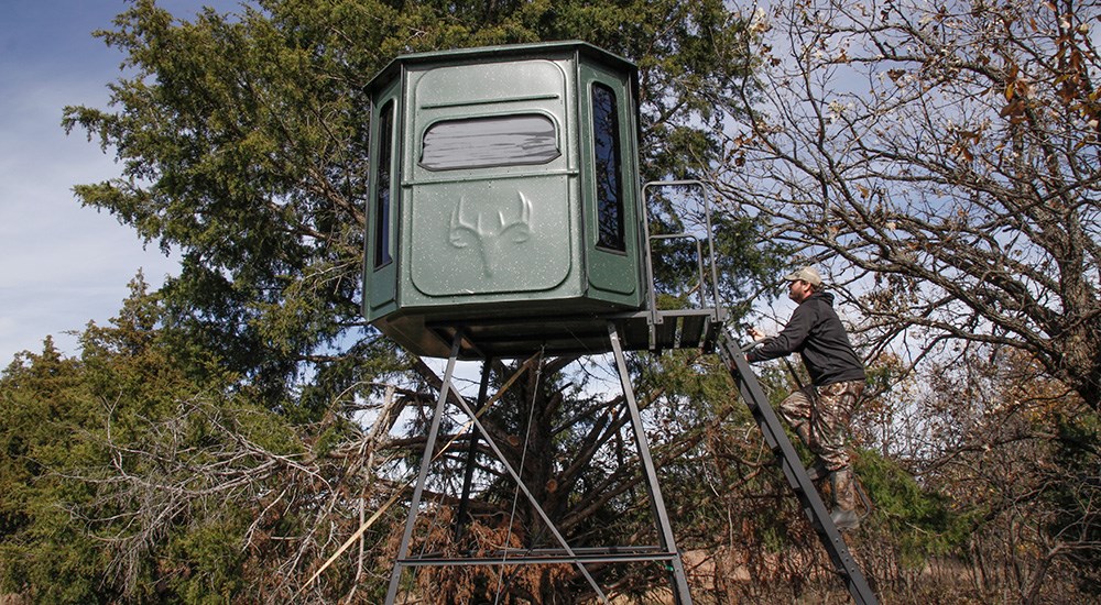 Deer hunter climbing ladder into dark green box blind on treeline.