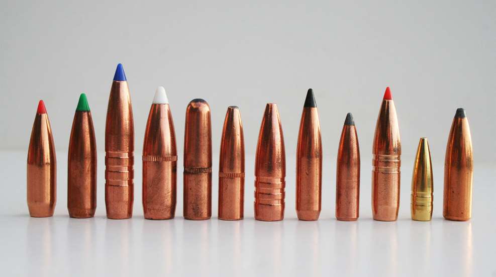 Best Rifle Bullets For Deer Hunting Lead