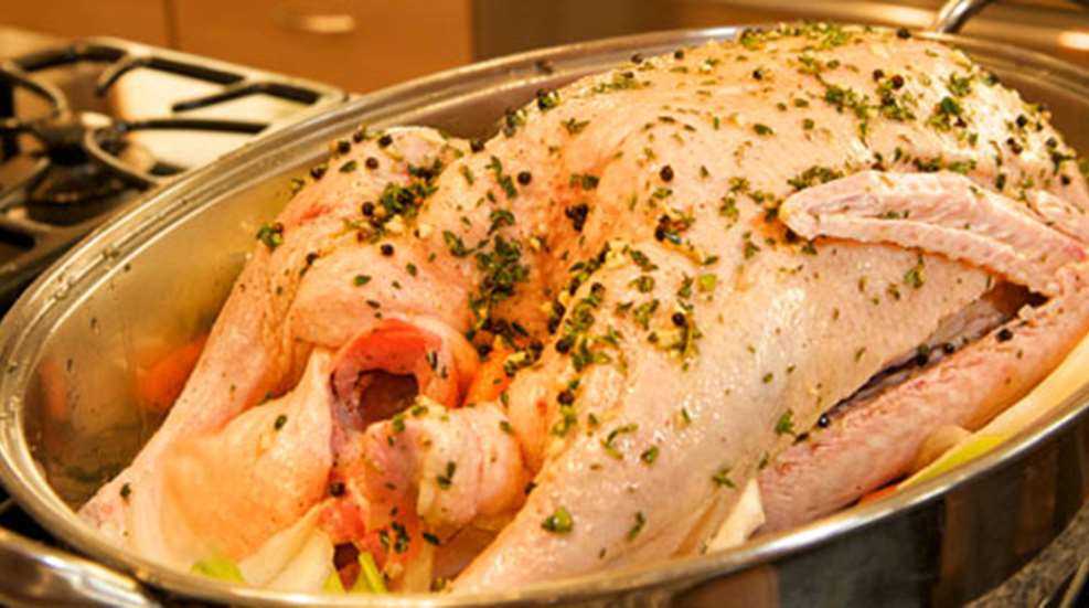 20121220153948-stuffedgoose_f.jpg