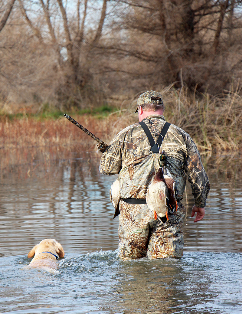 Man's Best Friend