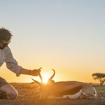 First Timer Safari—Africa Through Fresh Eyes | An Official Journal Of The NRA