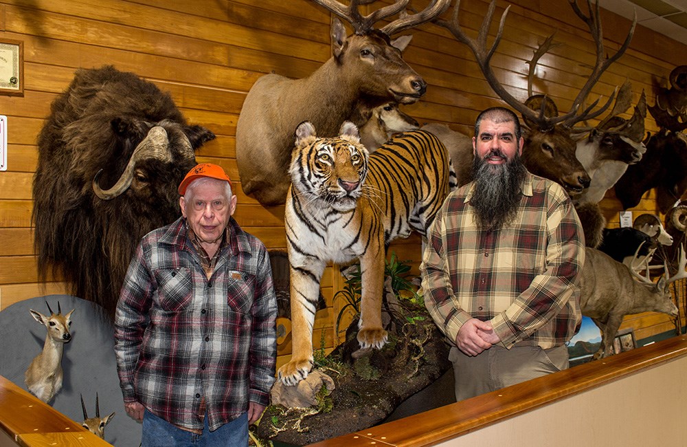 Two males standing next to elk and tiger taxidermy mounts.