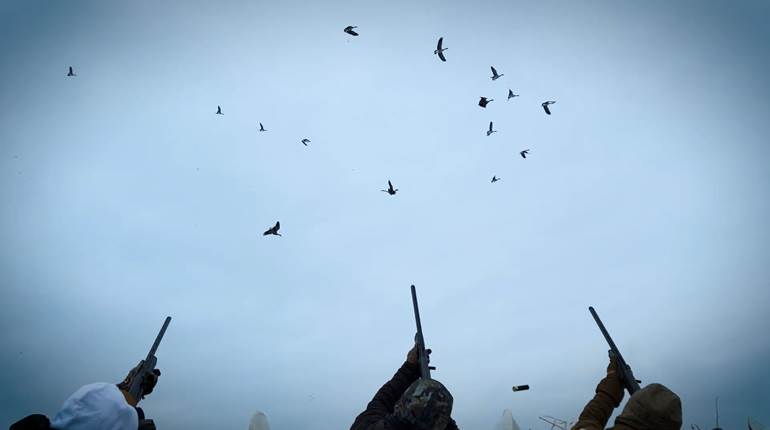 AH Hunts: Late Season Alberta Geese Pt. 1 | An Official Journal Of The NRA