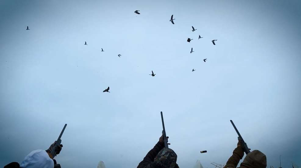 Shooting Geese Lede