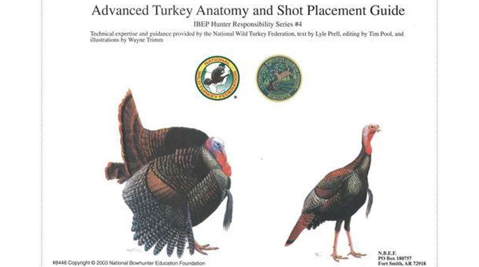 Mainadvancedturkeyanatomyshotplacement 1024X1024@2X