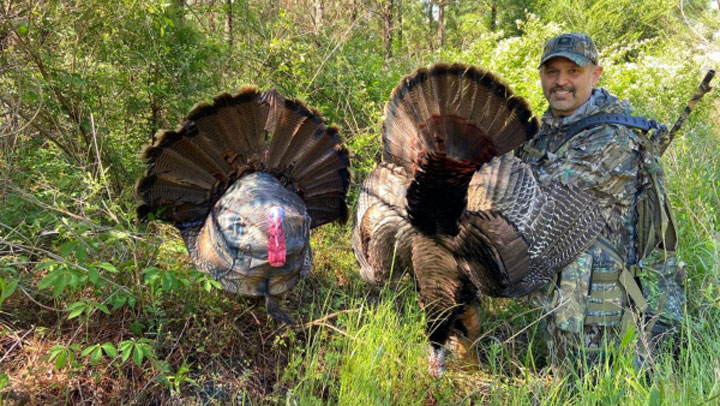 Wiley Tom in the ffield with hunter holding dead bird beside it