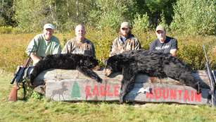 A Guide To The Big Woods Lead