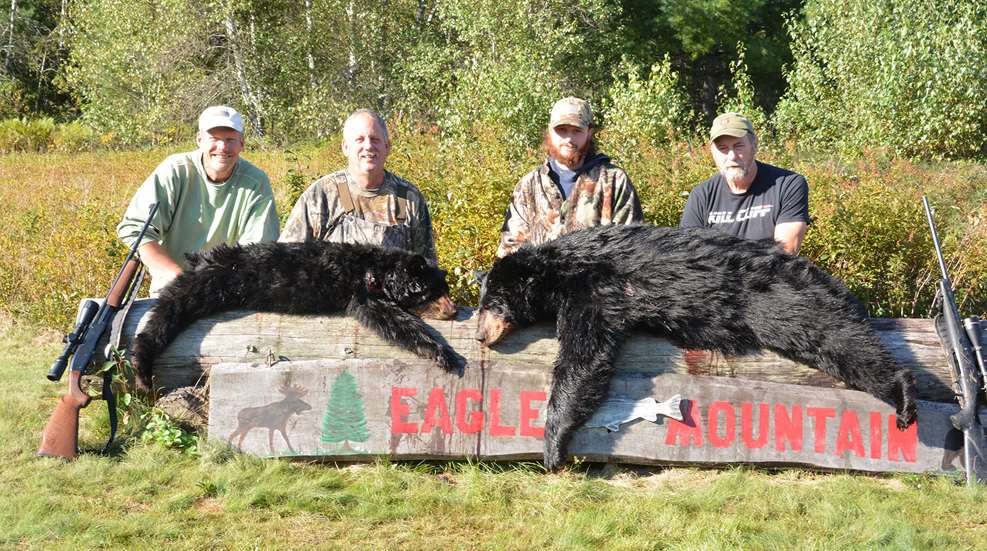 A Guide To The Big Woods Lead