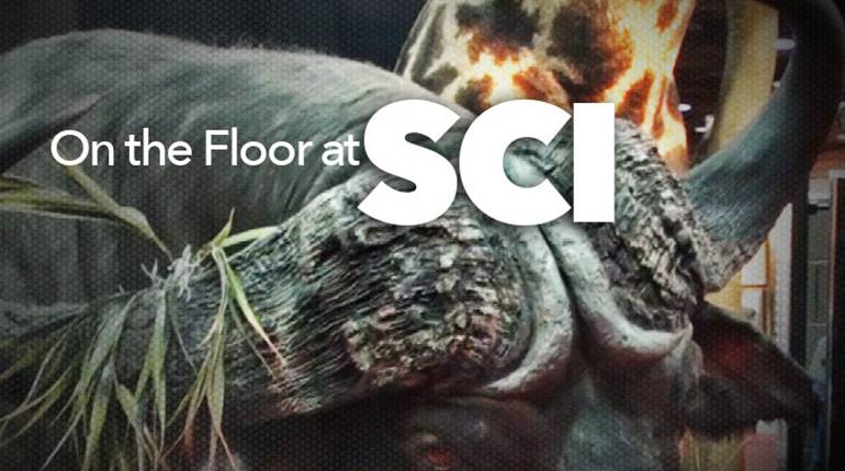 A First Time for Everything | An Official Journal Of The NRA