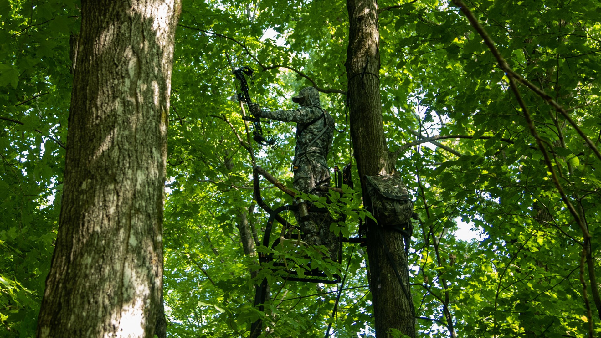 Bowhunter in stand