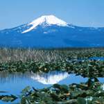 Mainupper Klamath National Wildlife Refuge