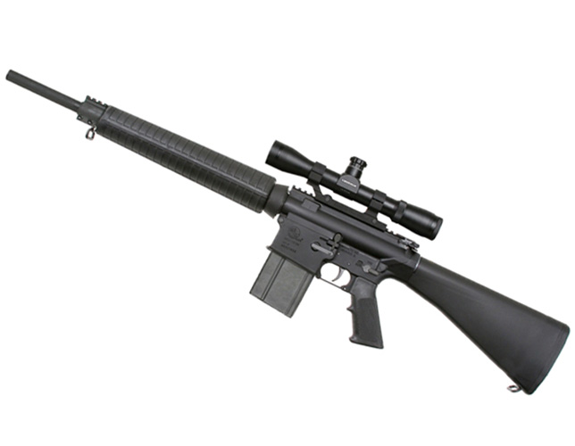 Armalite AR-10 .243 Winchester