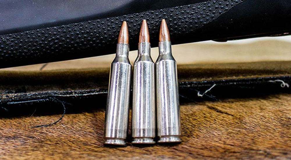 22-250 Remington Ammunition