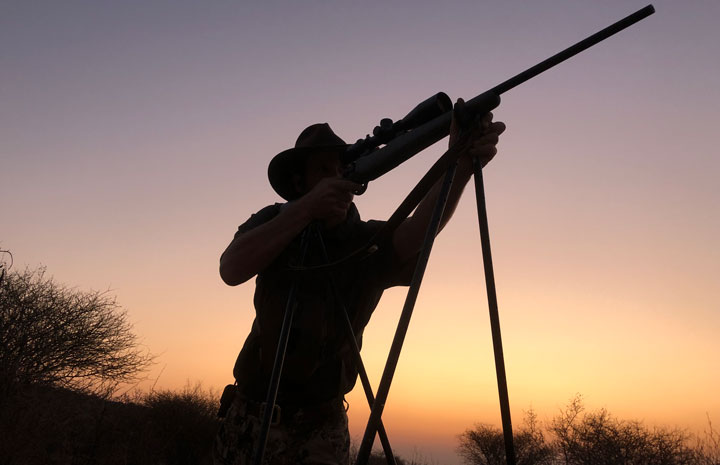 Hunter shooting off sticks silhouetted by the setting sun.