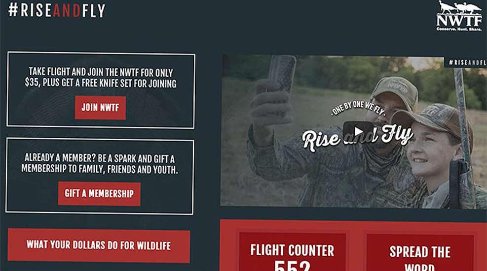 rise_and_fly_f.jpg