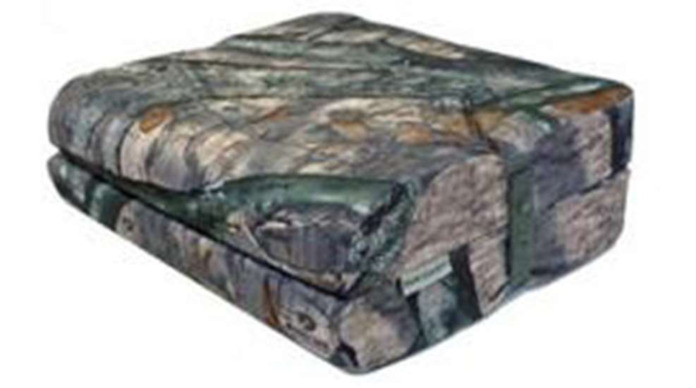 2010629131659-cushion2_m.jpg