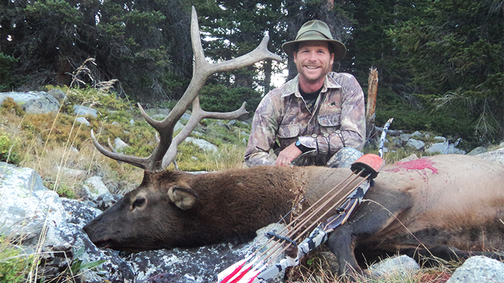 Bowhunter with Bull Elk