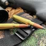 Whitetail Country Cartridges 2