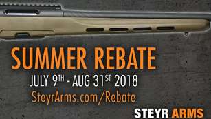 steyrsummerrebate_lead.jpg