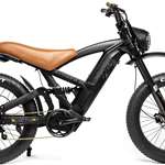 Lynx Black 1